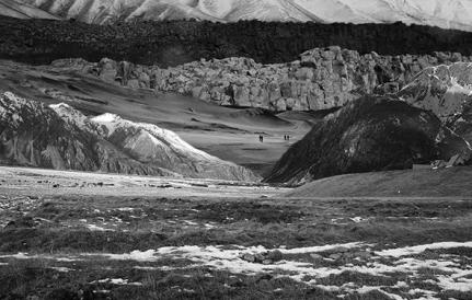 landscape  (10)