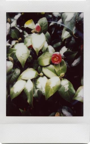 17.3.18